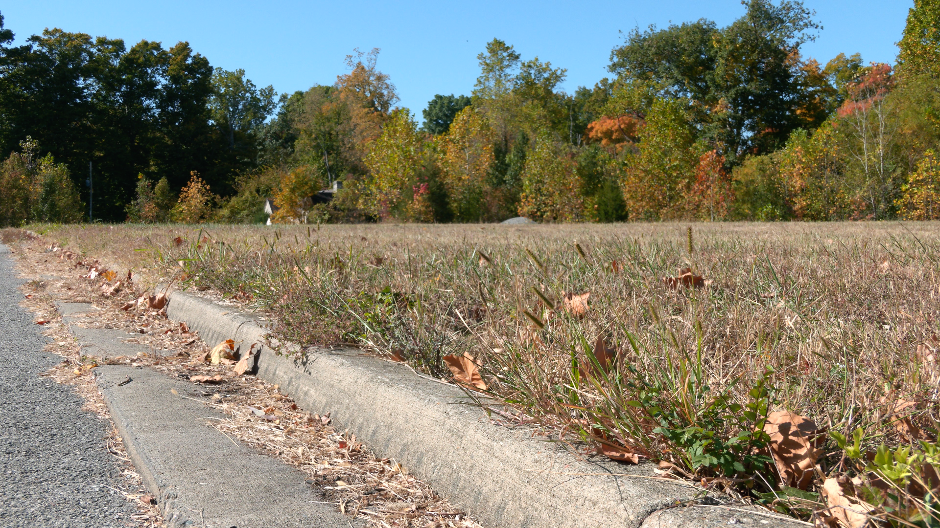 prospect cove site 3.png
